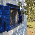 Mola