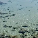 Mola Casa vacanze