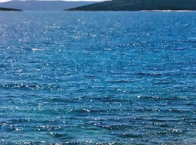 Mola *