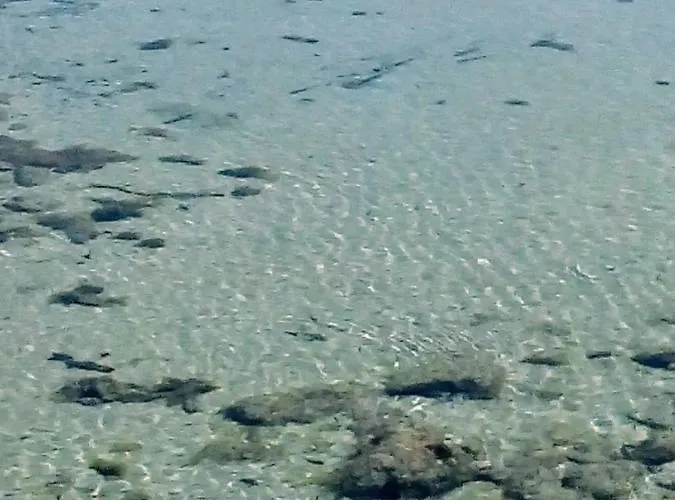 Mola 펜션