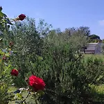 Mola Vikendica Ugljan
