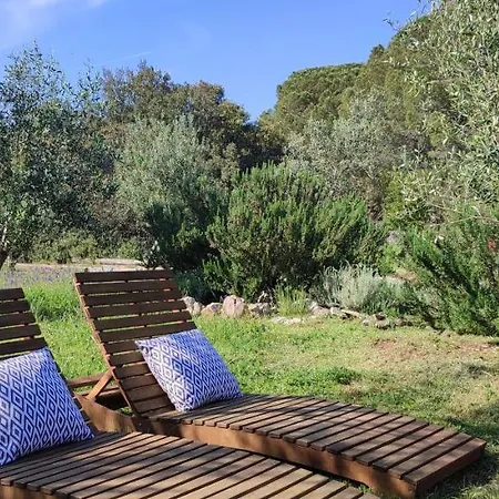 Mola Holiday home
