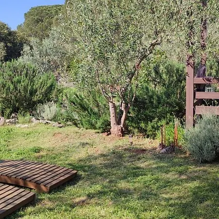 Holiday home Mola