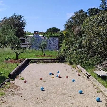 Mola Holiday home