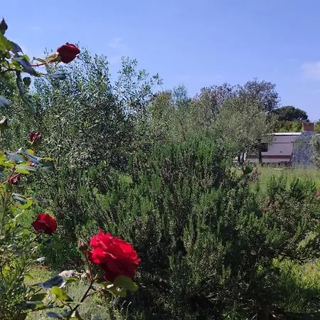 Mola Holiday home Ugljan