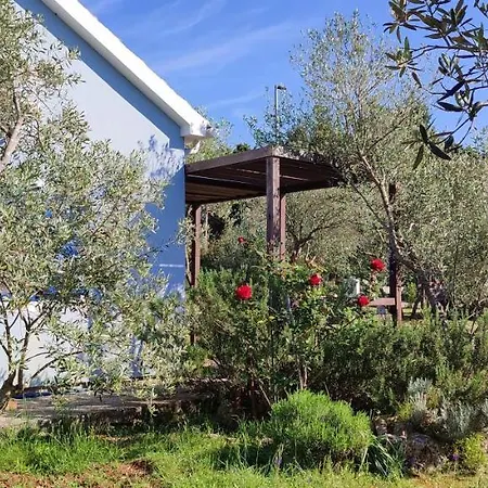 Mola Casa de Férias *