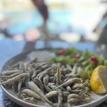 Mola Holiday home Ugljan