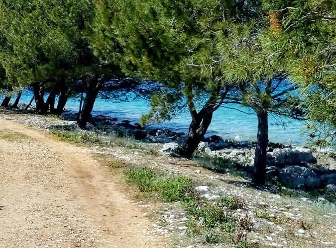 Nyaraló Mola *