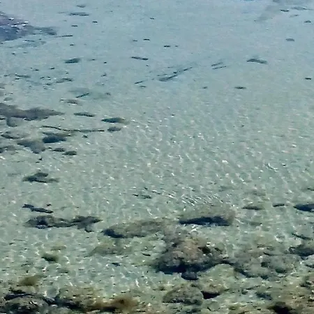Mola 펜션