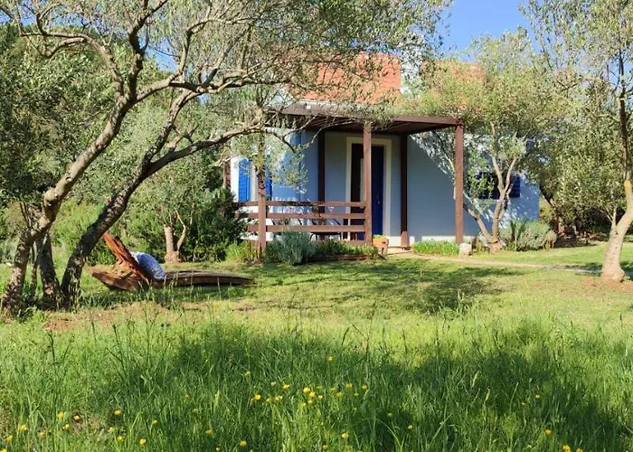 Dom wakacyjny Mola Ugljan