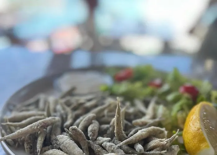 Mola Ferienhaus Ugljan